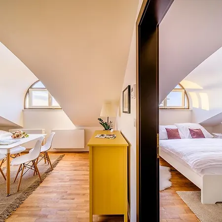 Rooftop Triplex In Centre Apartment *