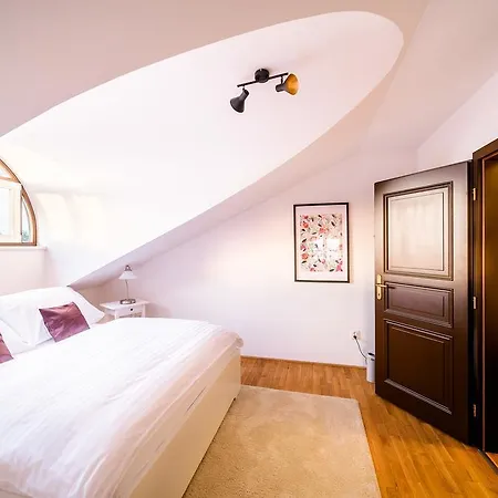 Rooftop Triplex In Centre * Hradec Kralove