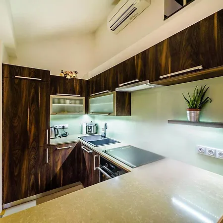 Rooftop Triplex In Centre Apartment *